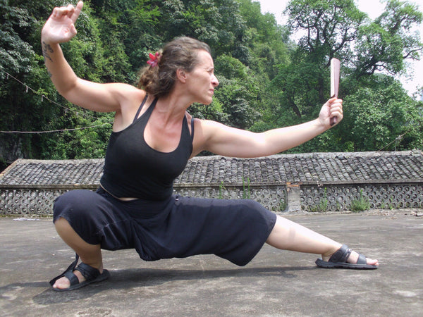 Animal Flow et Kung-Fu Traditionnel : Quand les Mouvements Modernes Redécouvrent les Savoirs Ancestraux