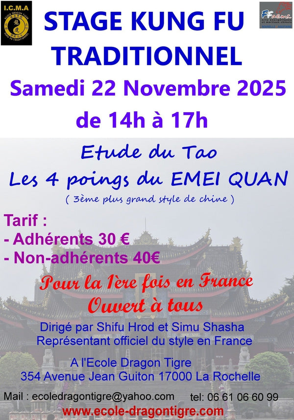 Stage de Kung-Fu traditionnel : découvrez le Tao des 4 poings du Emei Quan à La Rochelle