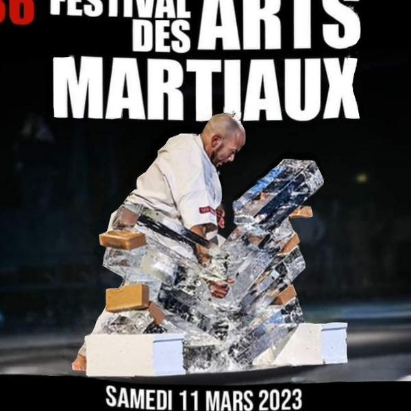 Festival des Arts Martiaux 2023 : La Magie du Kung Fu Traditionnel à l'Accor Arena