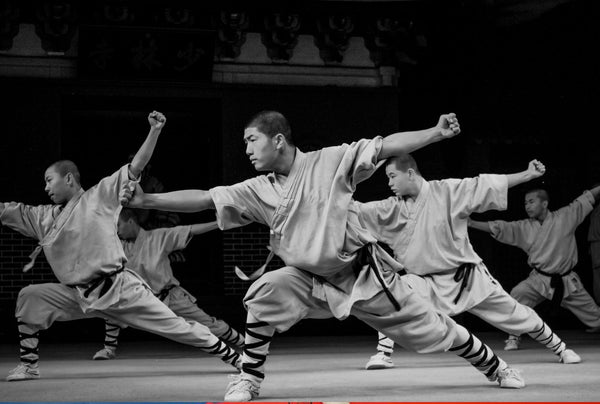 Les 10 Bienfaits Physiques de la Pratique du Kung Fu